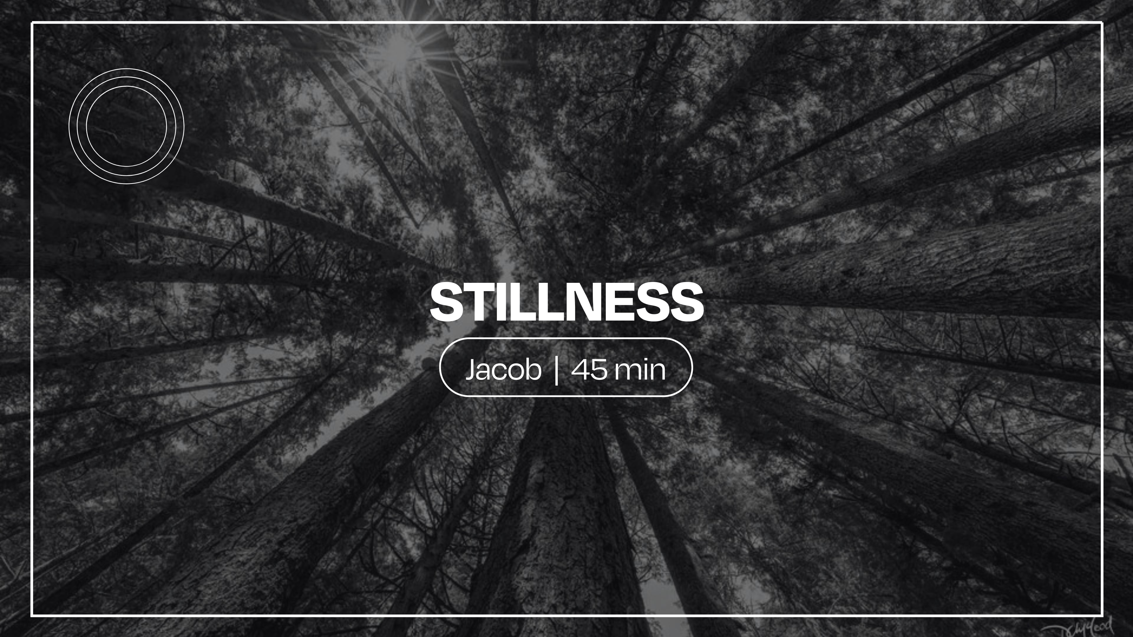 Stillness | Jacob