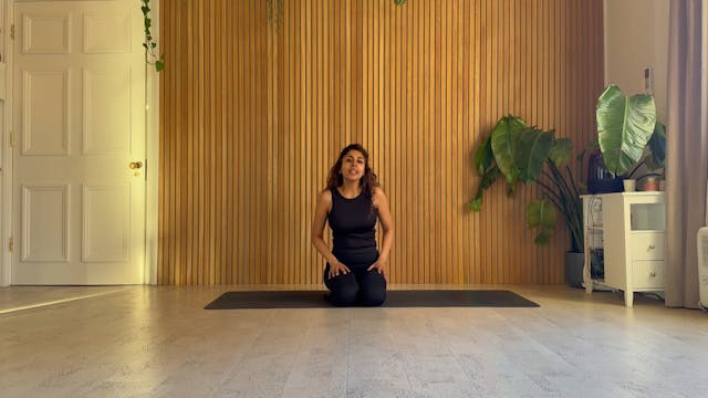 NEW - 17 Min Mind & Core Connection 