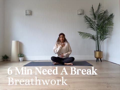NEW - 6 Min Need a Break Breathwork