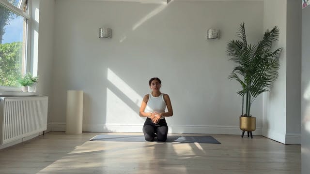 NEW - 29 Min Classical Pilates Flow//...