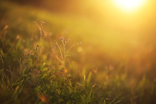 Chemo Healing Meditation