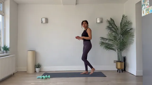 NEW - 15 Min Arm Burn w/weights (opti...