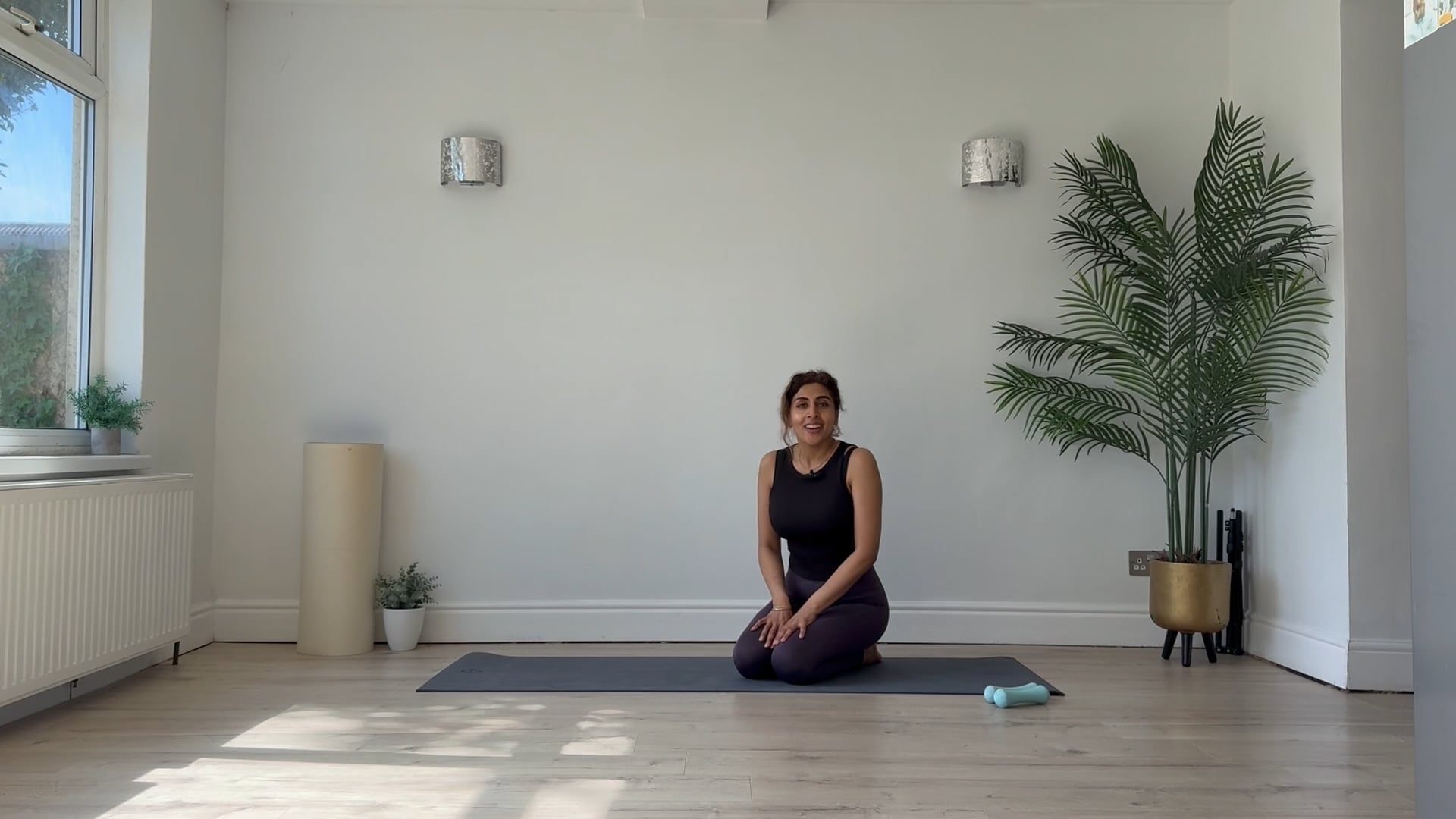 NEW - 23 Min Nervous System Reset- full body (weights optional)