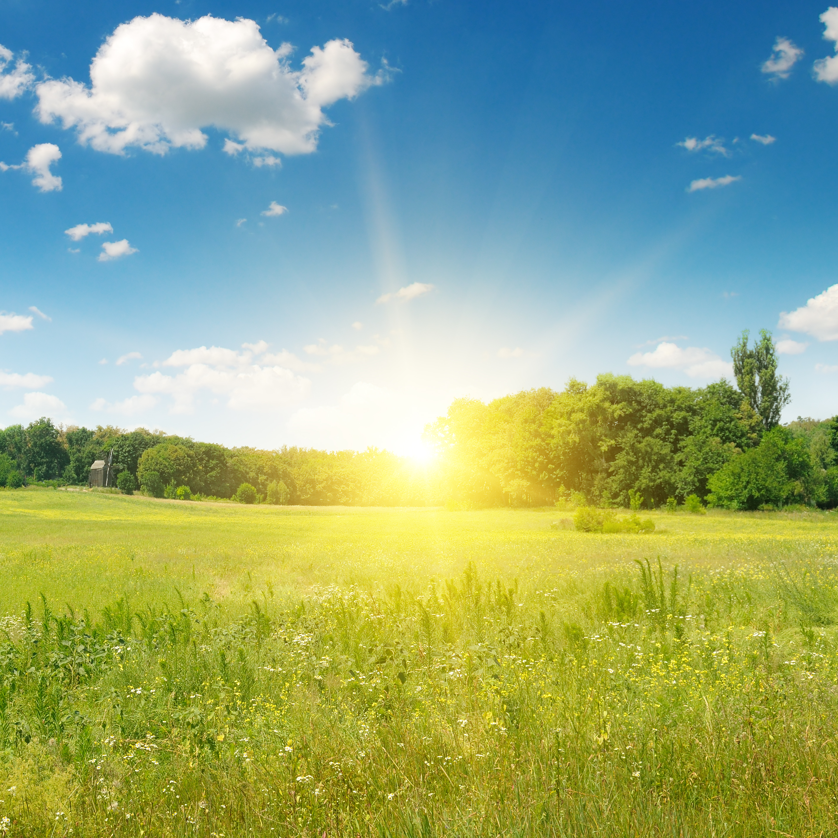 Tumour Healing Meditation 