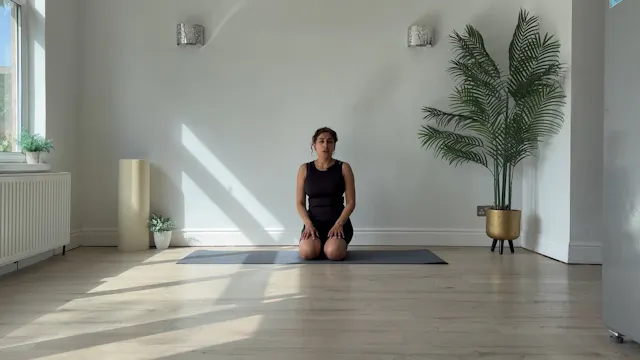 NEW - 27 Min Beginner Pilates Flow
