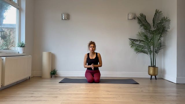 NEW - 5 Min Planking series