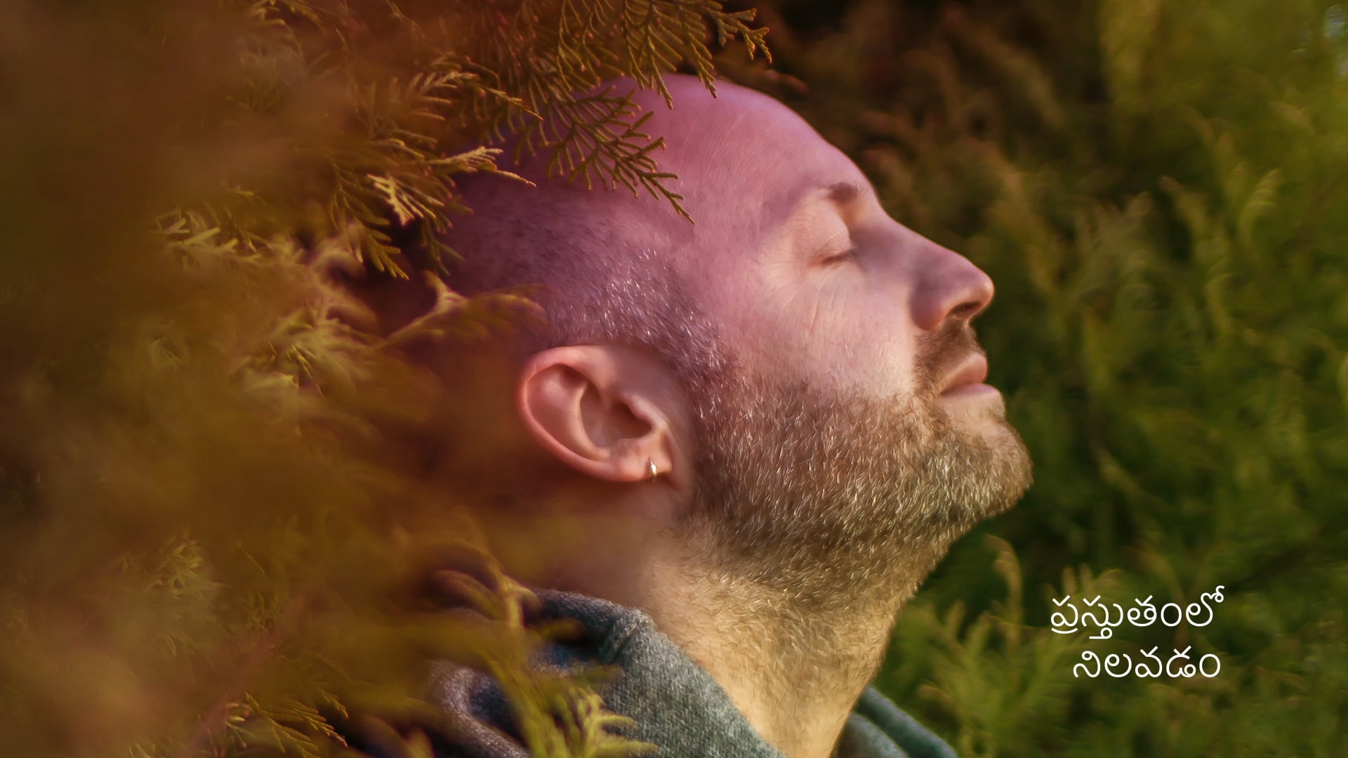 Deeply Present (Telugu)