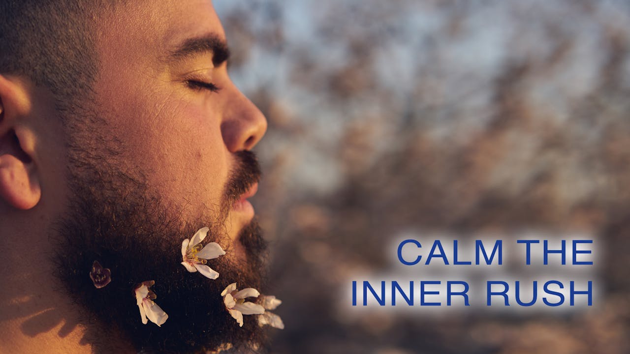 Calm The Inner Rush English Meditation Movement English