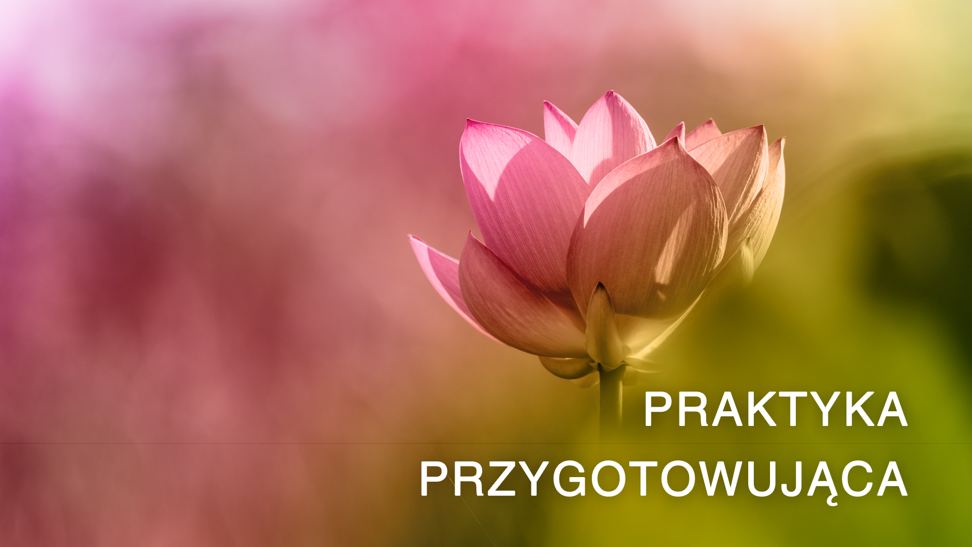 Preparatory Practice - Introduction (Polish)