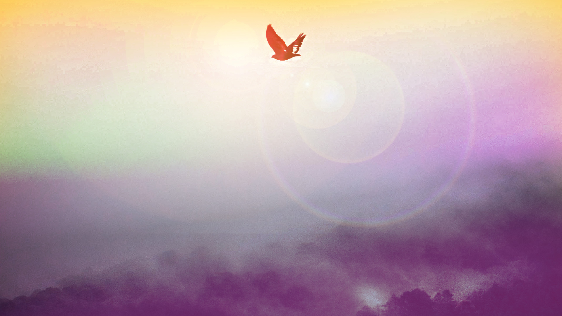 Free Meditations (English)