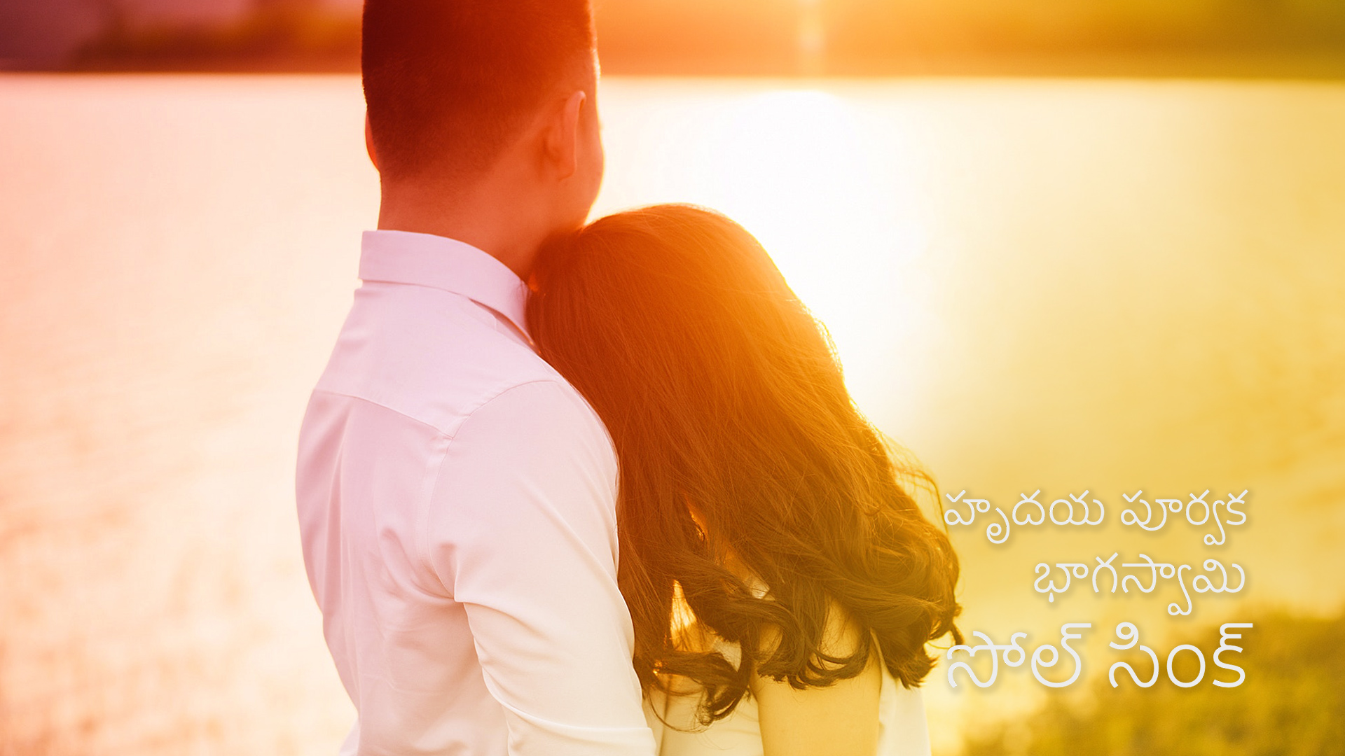హృదయ పూర్వక భాగస్వామి - సోల్ సింక్. Heartfelt partner - Soul Sync (Telugu)