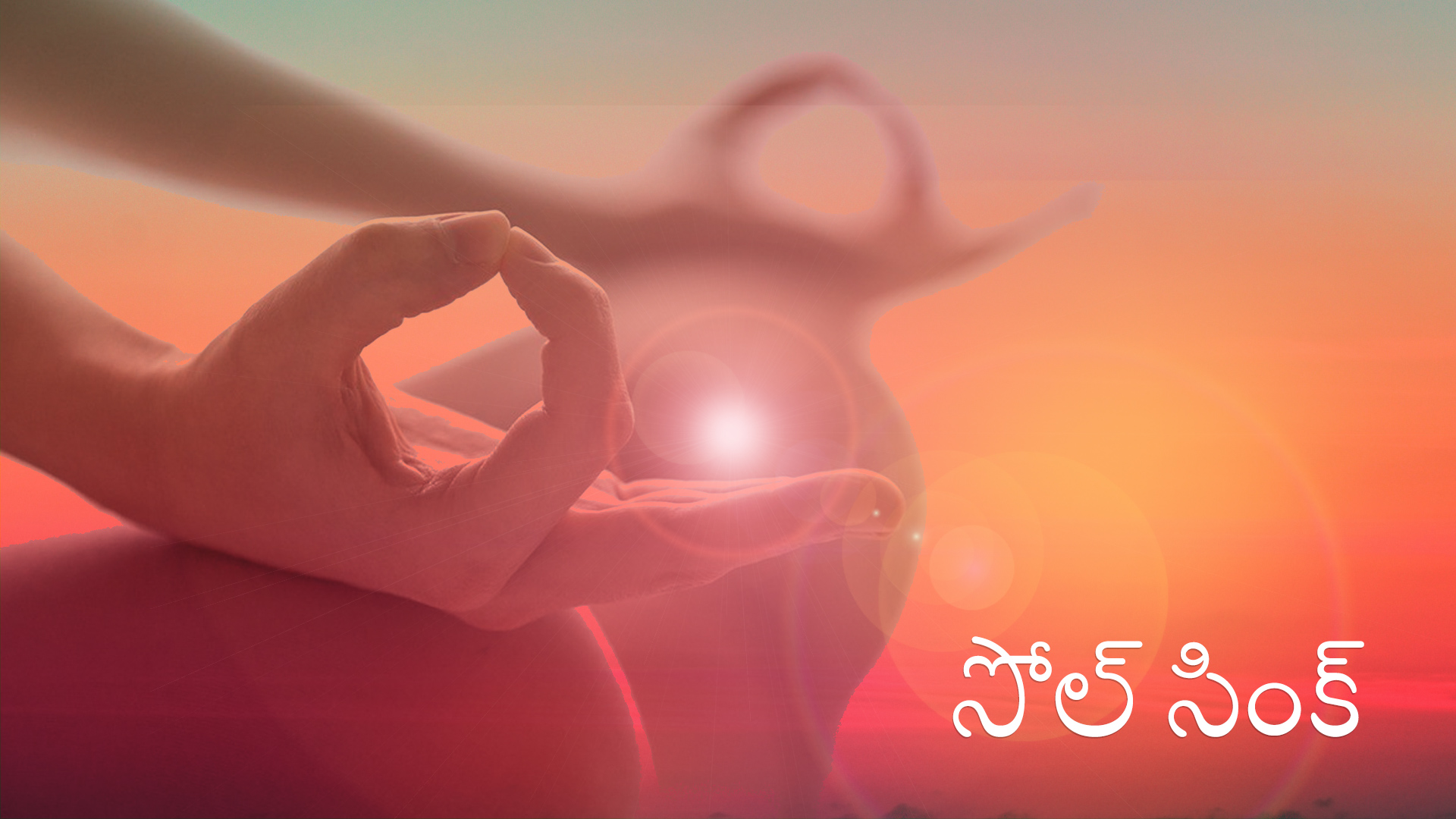 సోల్ సింక్  (Telugu)