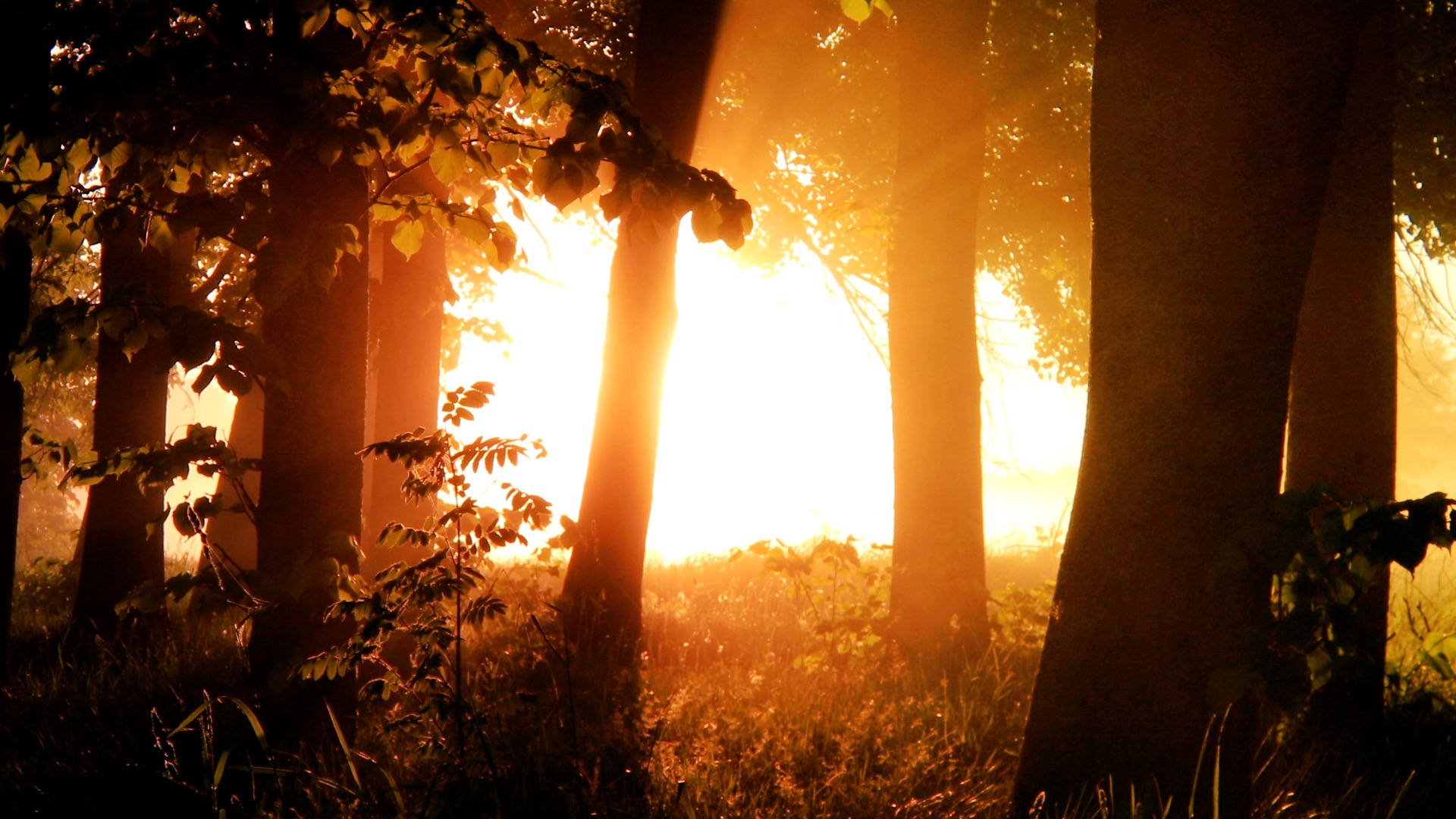 Sacred Chants (English)