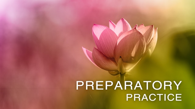 Preparatory Practice - Introduction (Chinese)