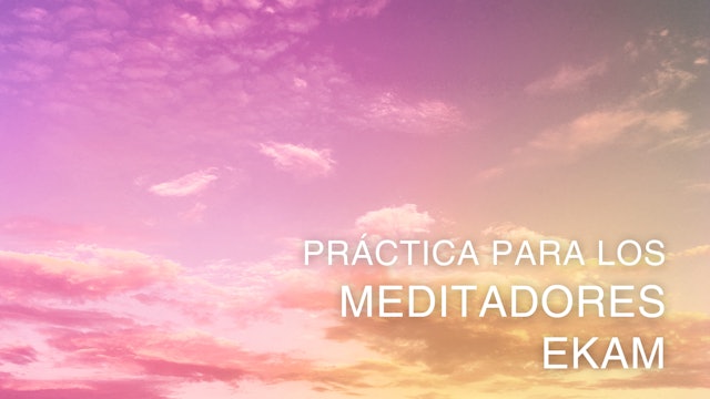 Ekam Meditators Practice (Spanish)