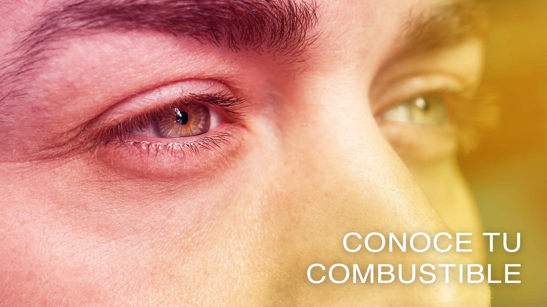 Conoce tu combustible (Spanish)