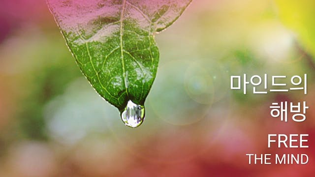 마인드의 해방 (Korean)