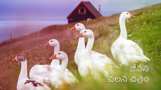 జీవన చలన చిత్రం The Movie of life (Te...