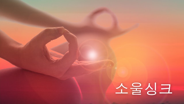 Soul Sync (Korean)