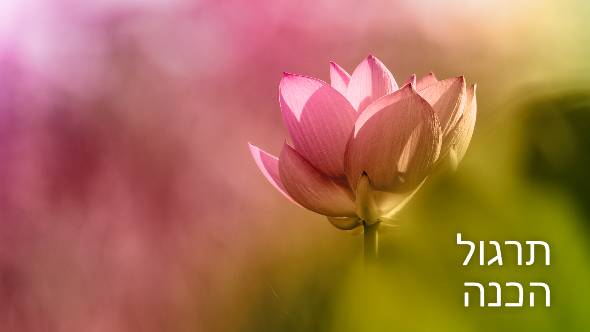 Preparatory Practice - Introduction (Hebrew)