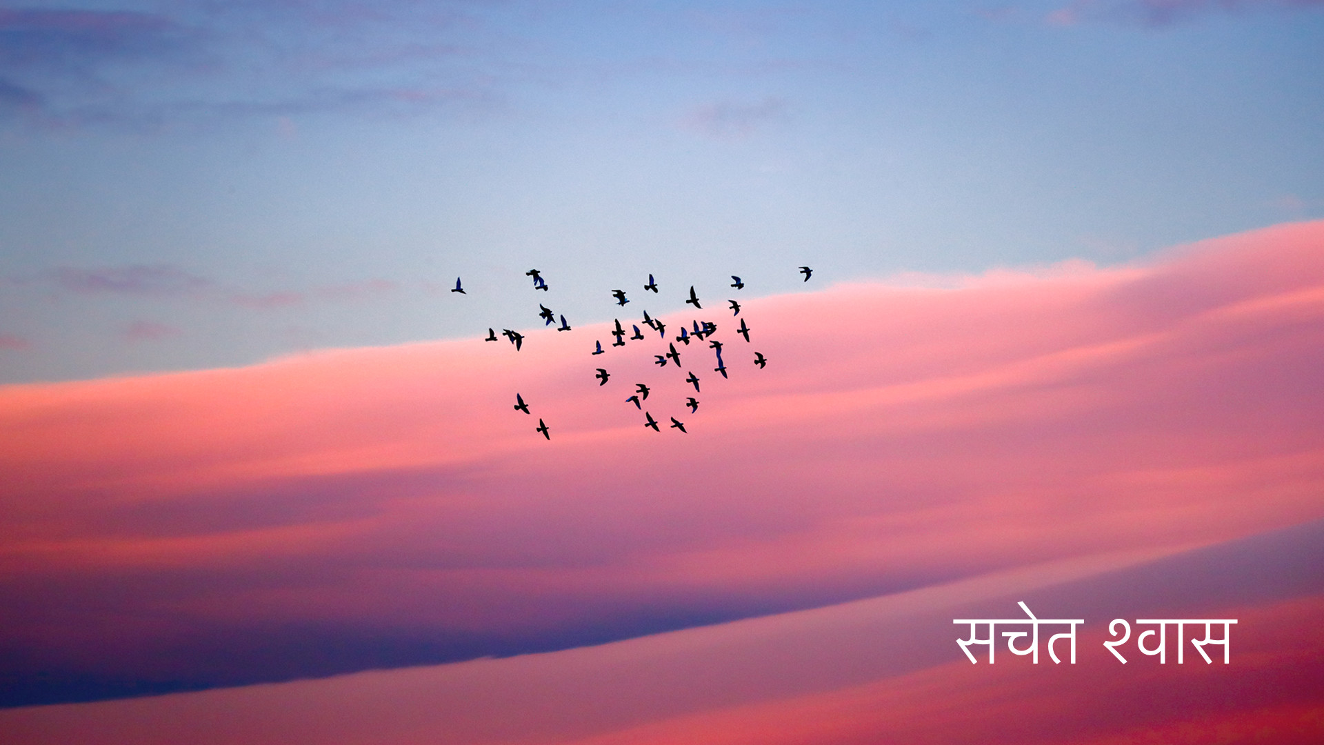 सचेत होकर श्वास लेना - Conscious Breathing (Hindi)