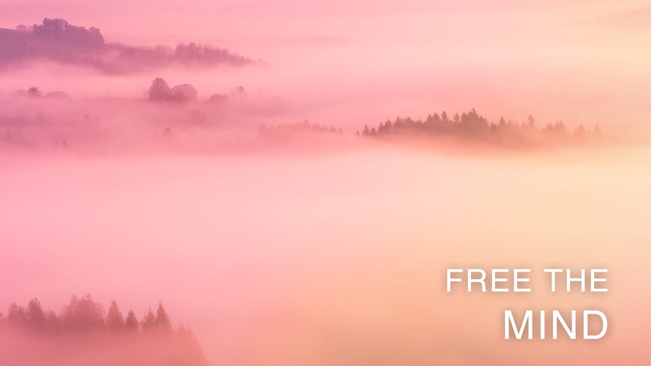 Free The Mind Breathing Room Guided Meditation For Calm And Inspiration