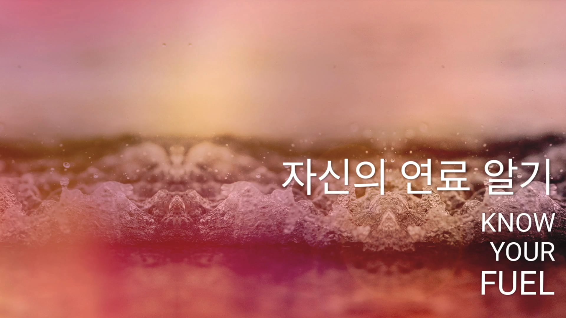 자신의 연료 알기 (Korean)