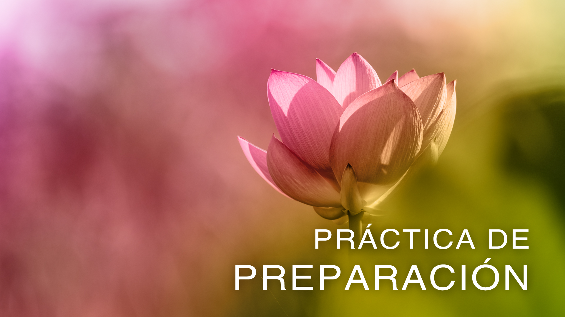 Preparatory Practice - Introduction (Spanish)