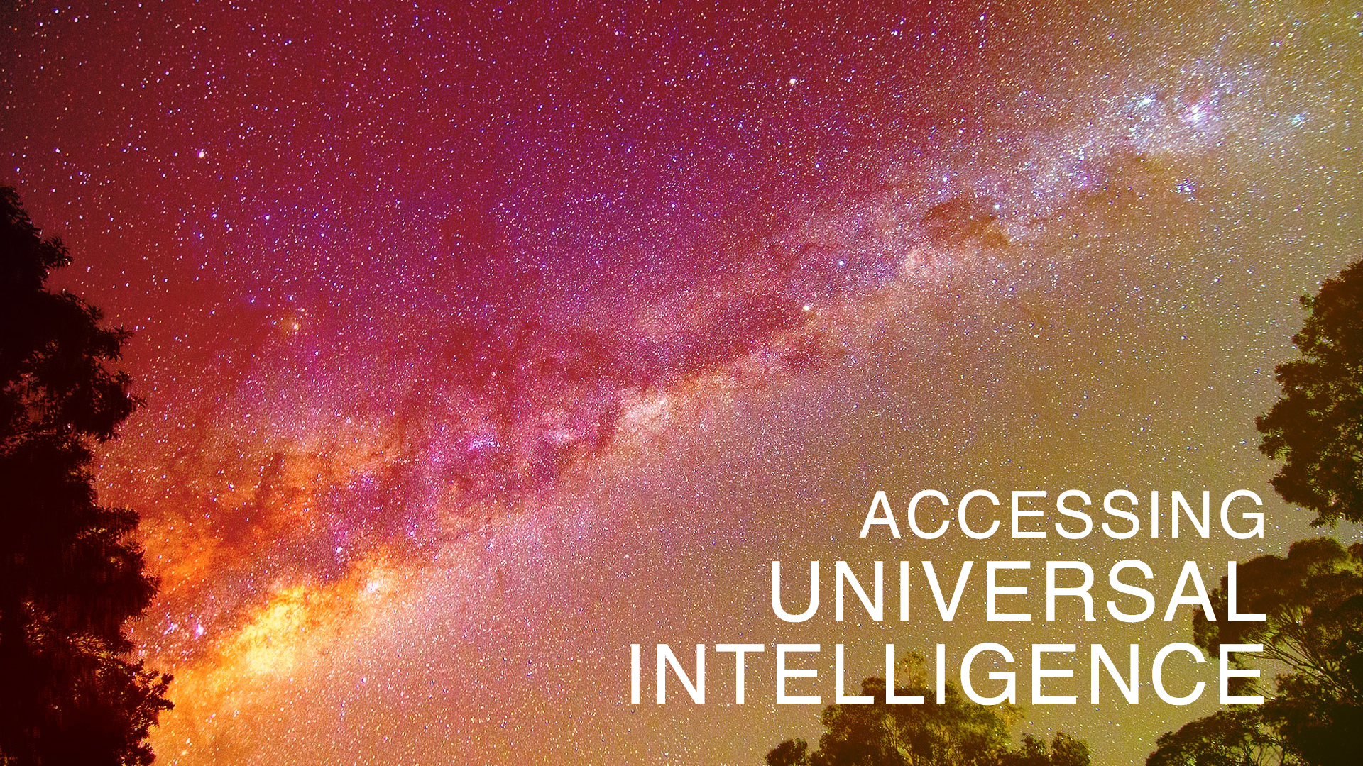 Accessing Universal Intelligence: Day 4 (Night Meditation