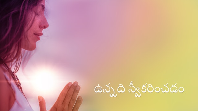 Accepting What Is (Telugu)
