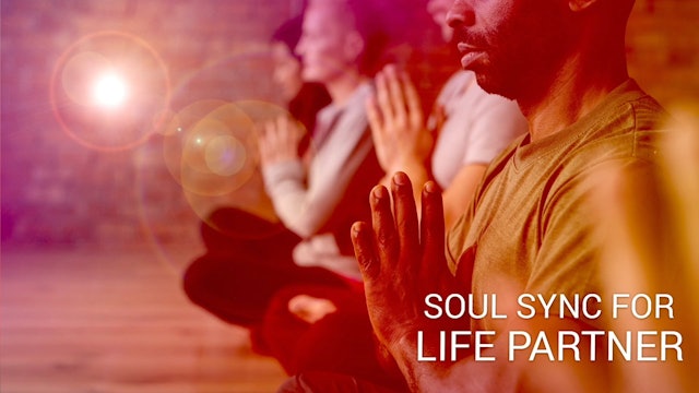 03 Soul Sync for Life Partner (Telugu)