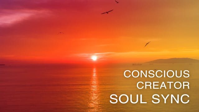 Conscious Creator Soul Sync