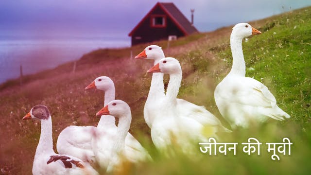 जीवन की मूवी The Movie of Life  (Hindi)