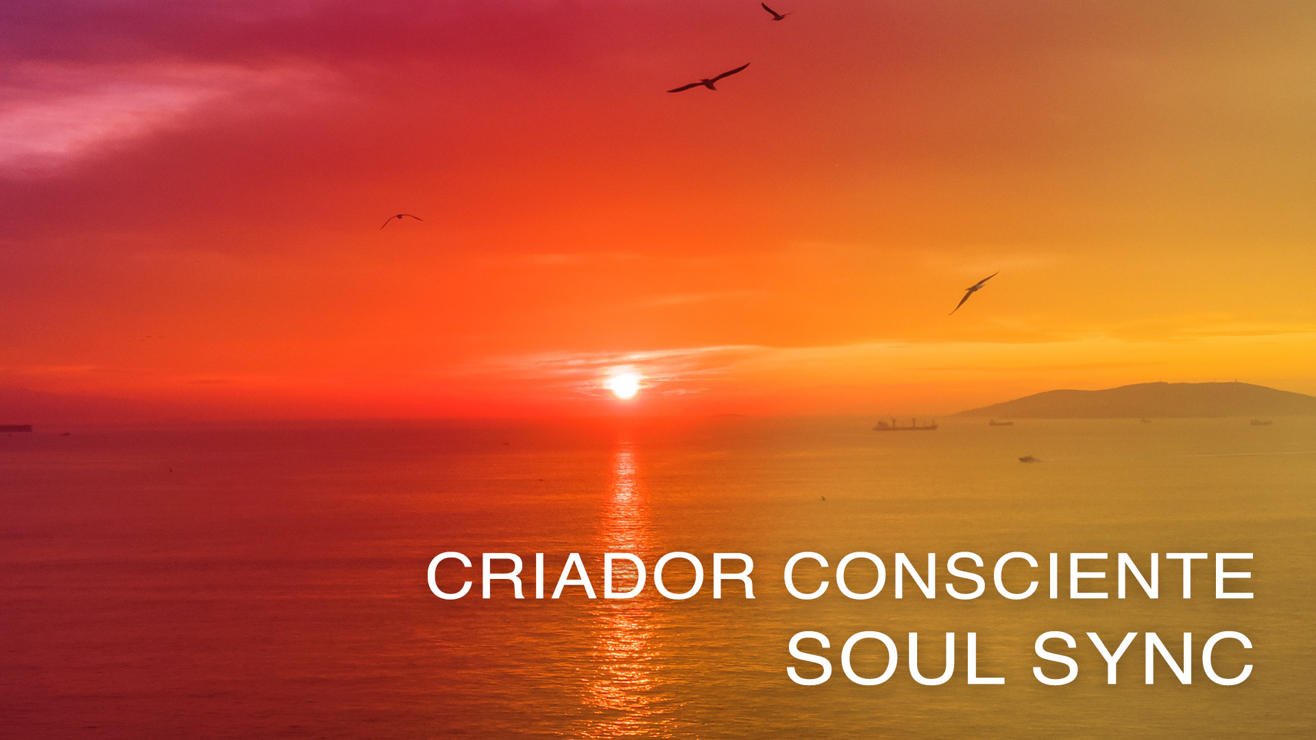 Criador Consciente - Soul Sync (Portuguese)