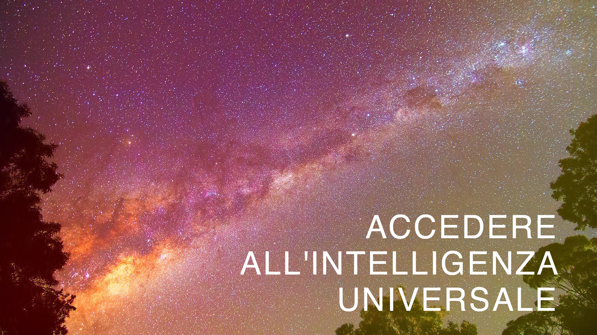 Accessing Universal Intelligence (Italian)