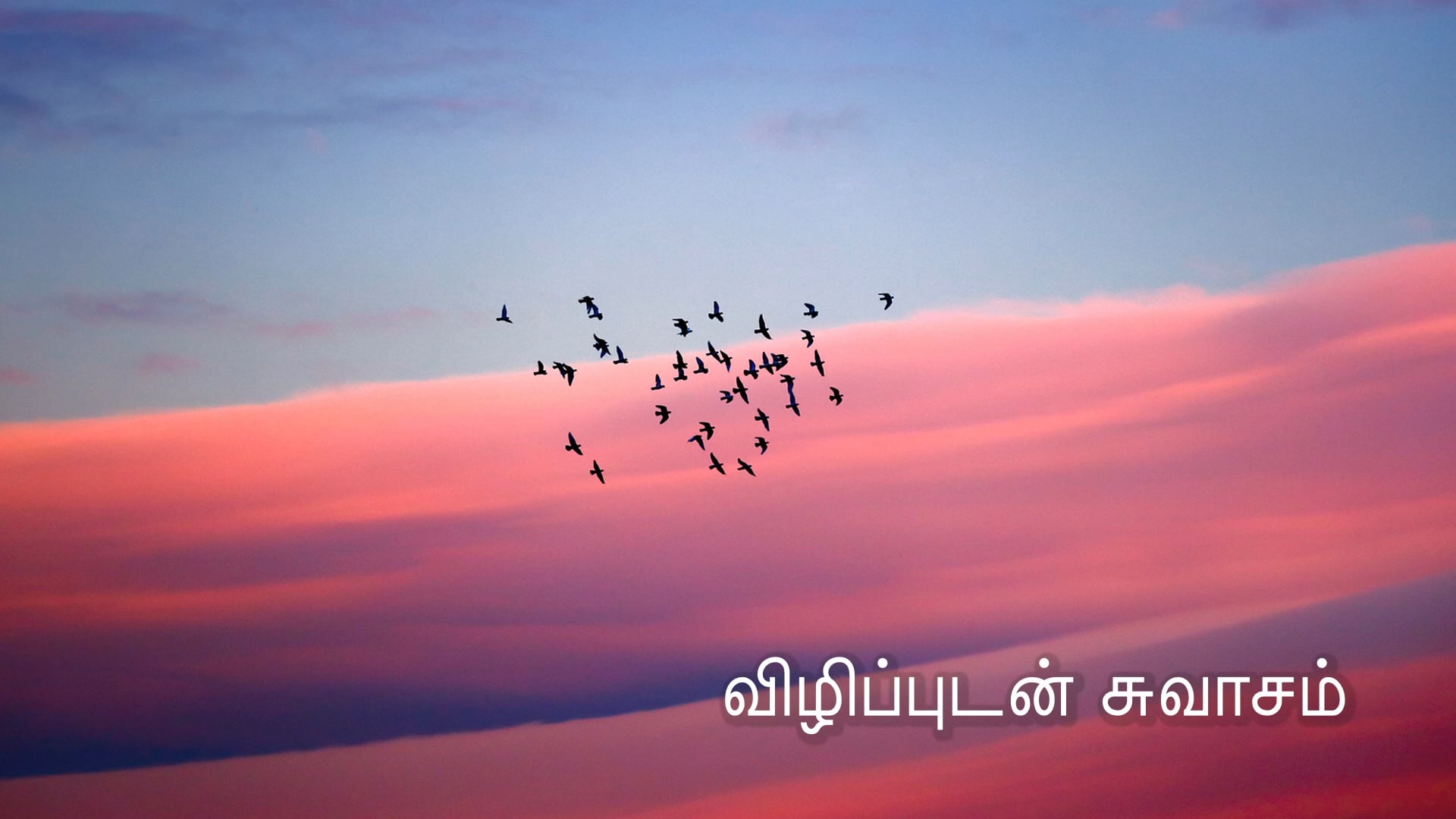 விழிப்புடன் சுவாசம் Conscious Breath (Tamil)