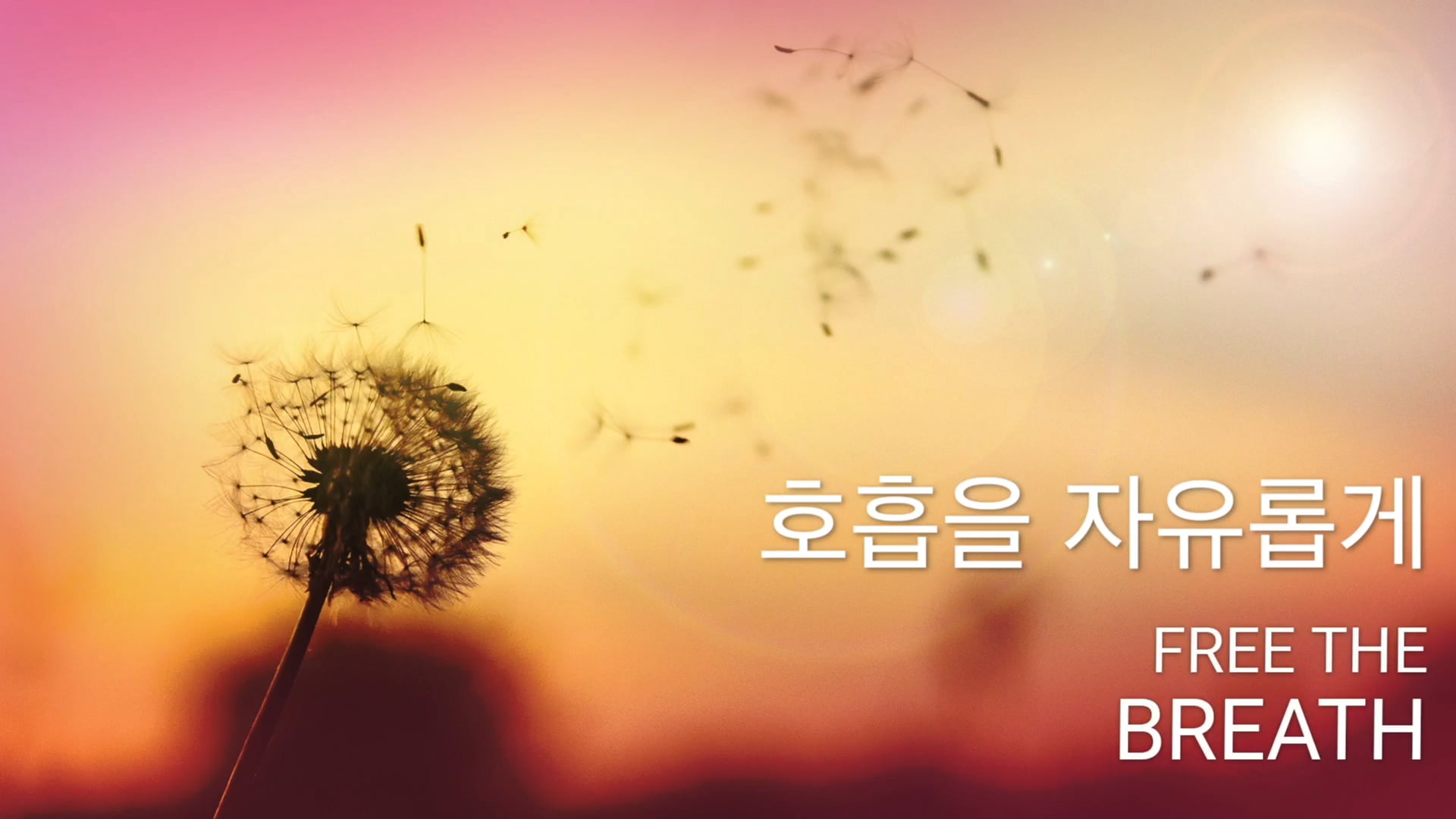 호흡을 자유롭게 (Korean)