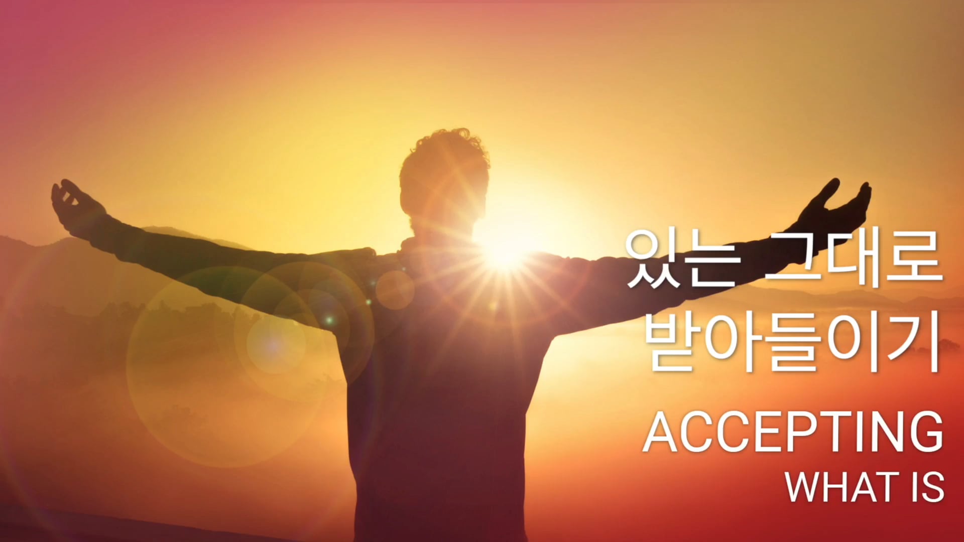  있는 그대로 받아들이기 (Korean)