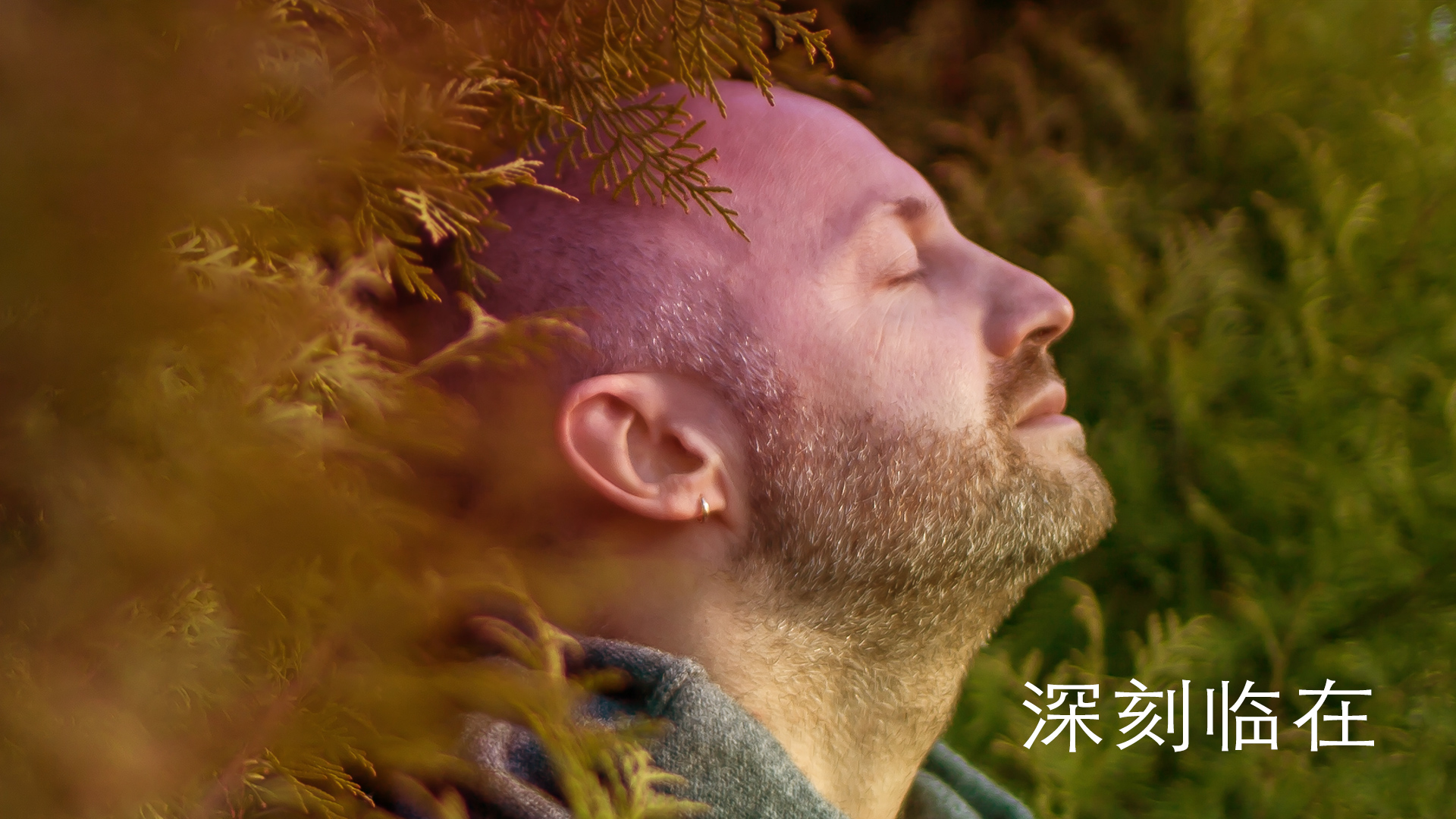 Deeply Present (Chinese)