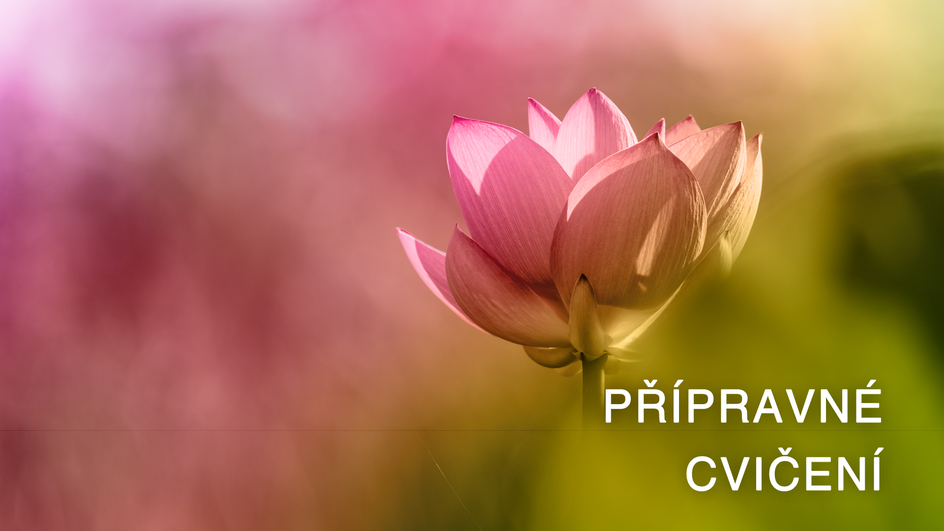 Preparatory Practice - Introduction (Czech)