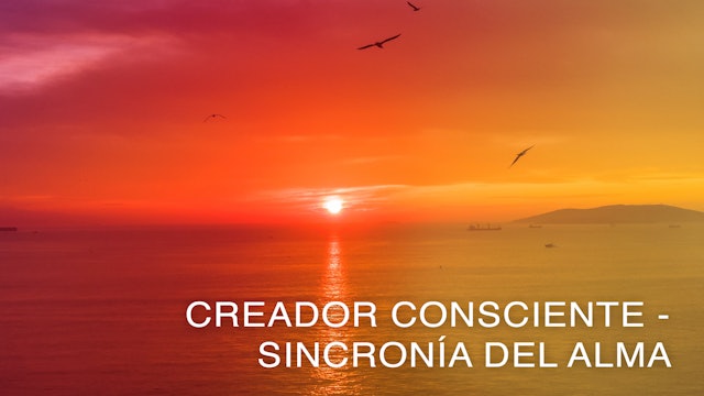 Creador Consciente Sincronía del Alma (Spanish)