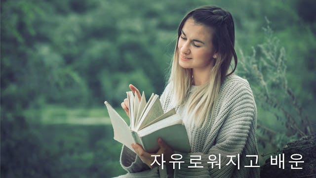 Be Free Learn (Korean)