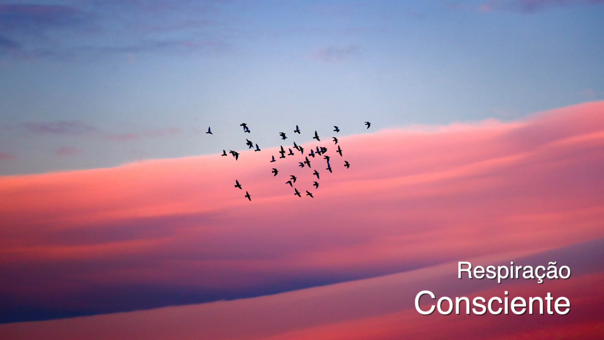 Respiração Consciente (Conscious Breath - Portuguese)