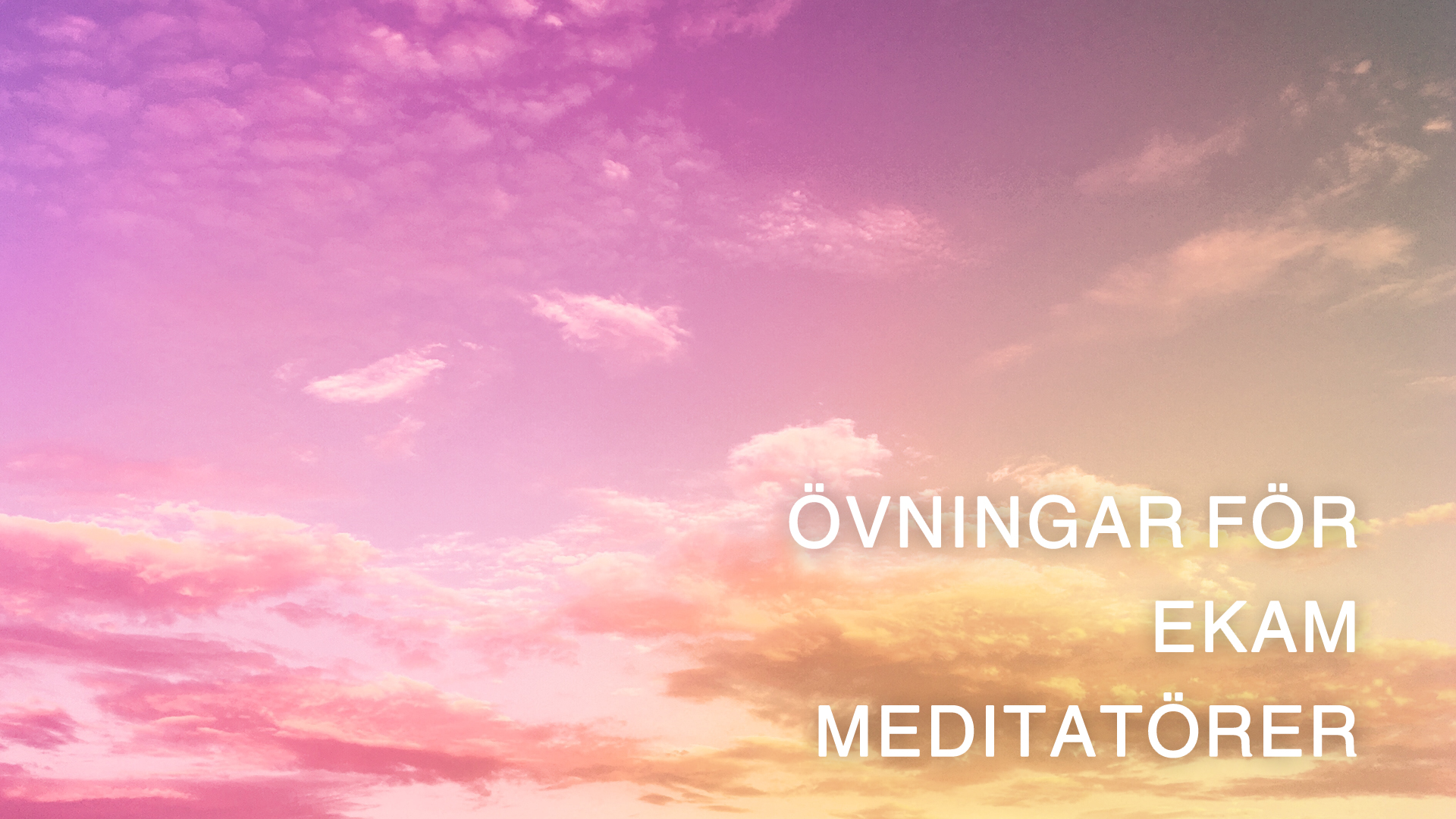 Ekam Meditators Practice (Swedish)