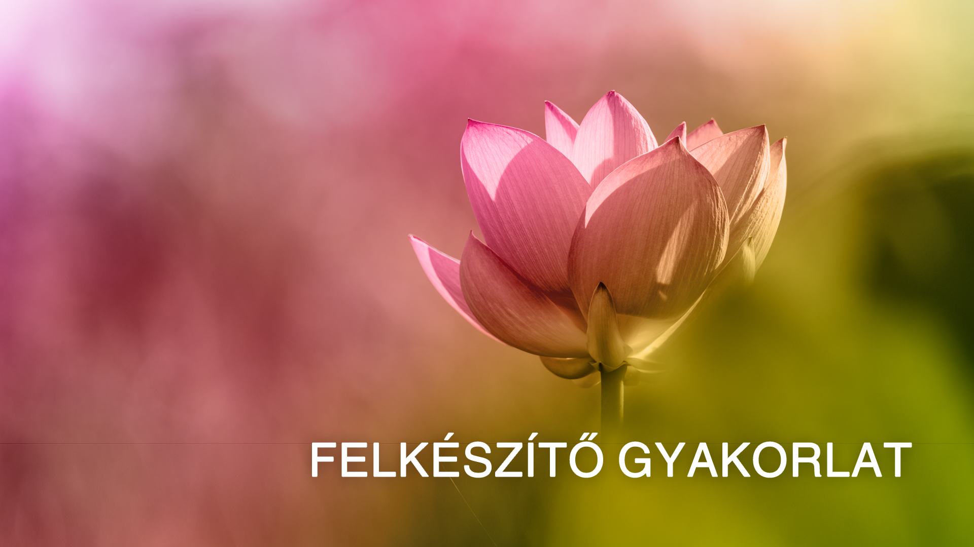 Preparatory Practice - Introduction (Hungarian)