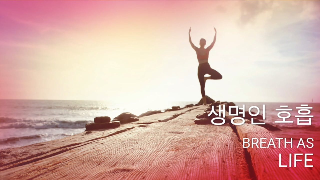 생명인 호흡 (Korean) 평온함 (Korean) Breathing Room Guided Meditation for