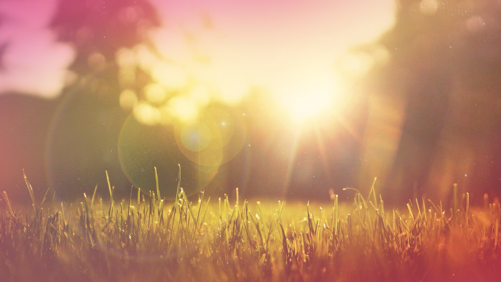 Free Meditations (Portuguese)