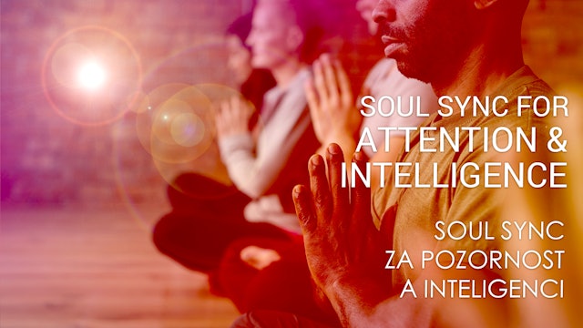 06 Soul Sync za pozornost a inteligenci (Czech)