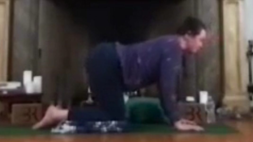 Hatha Flow with Haley 4