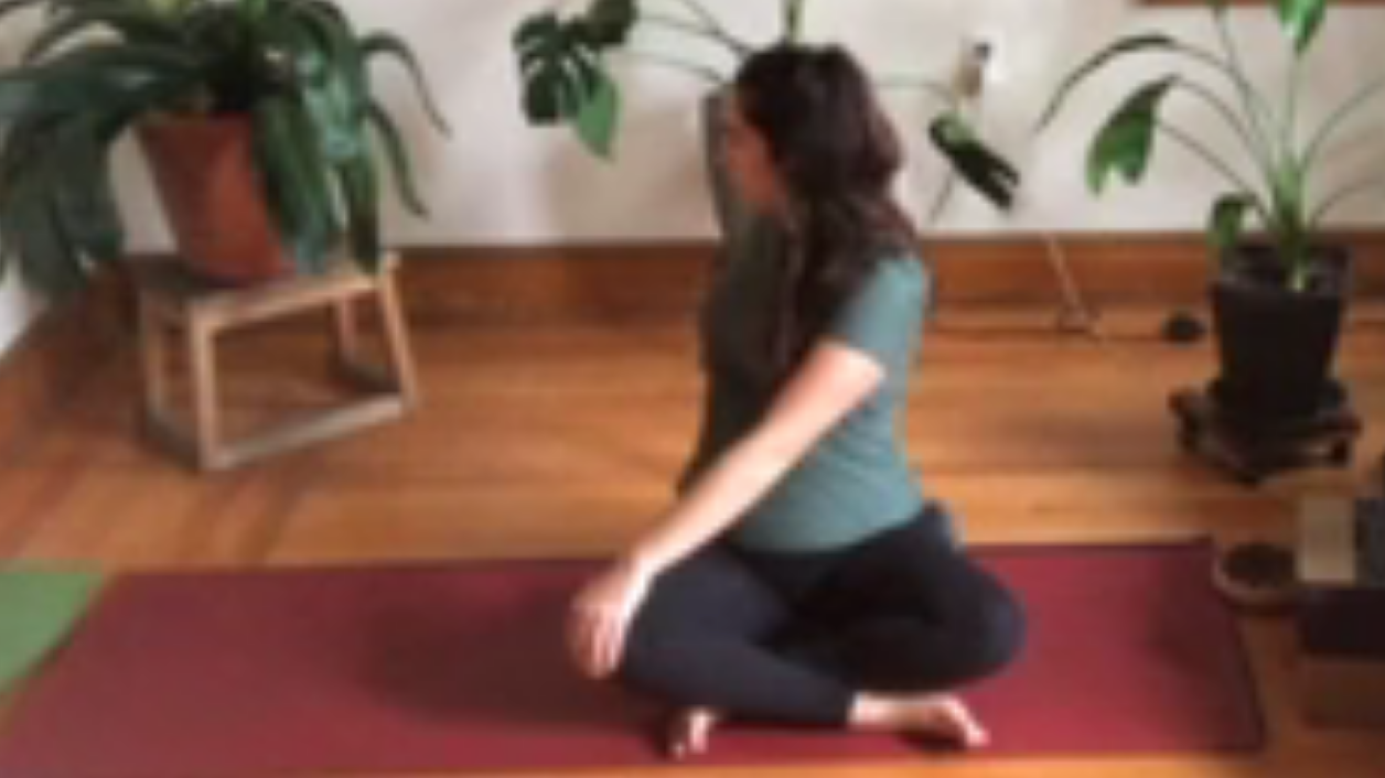 Hatha Flow Yoga with Verred 1